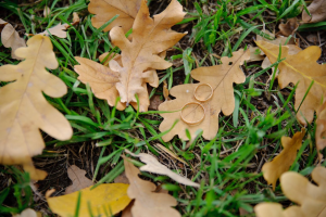 fall wedding